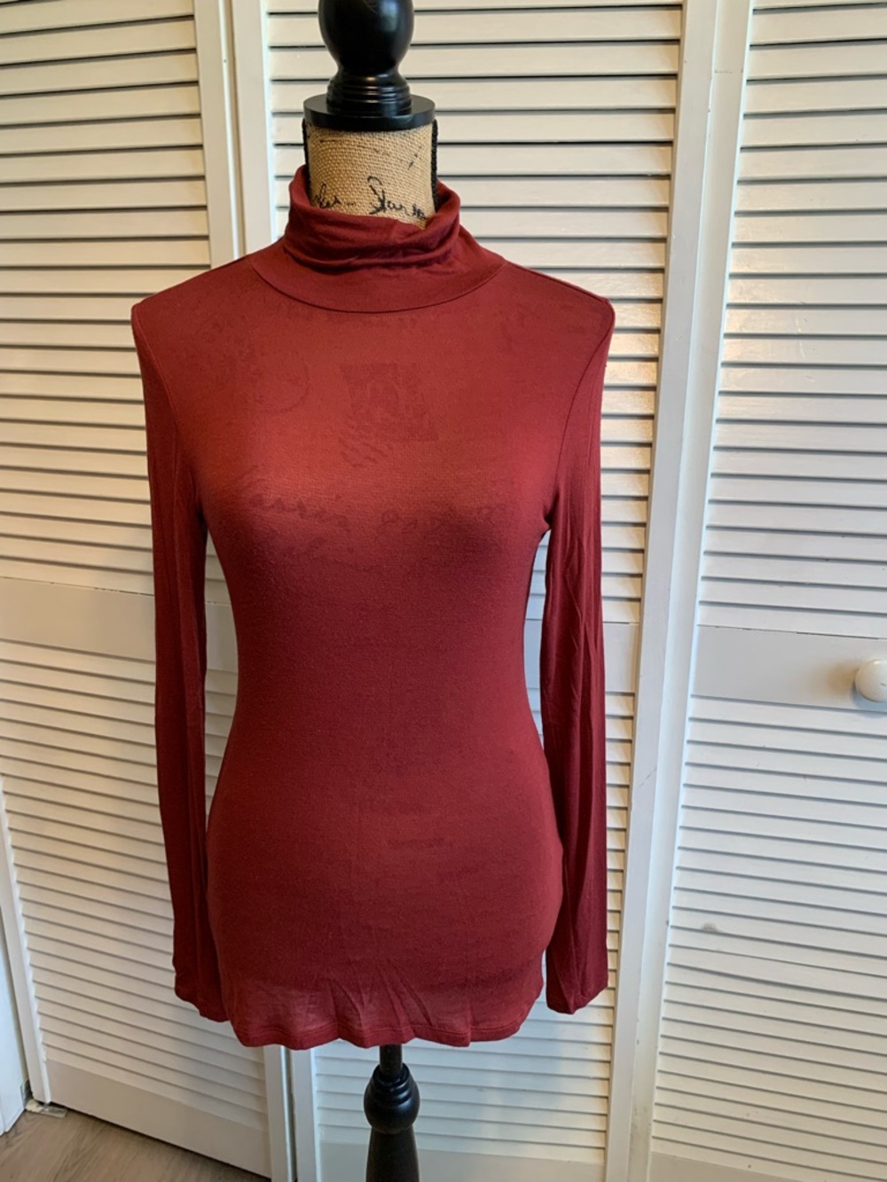 BCBGeneration Long Sleeve Turtleneck Top in Rust Red - Tall
